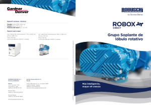 flyer-robox-direct_s47-1t19-d_sp