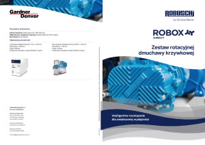 flyer-robox-direct-s47-1y19-d_pl