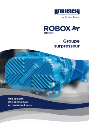 flyer-robox-direct_s47-1l19-d_fr