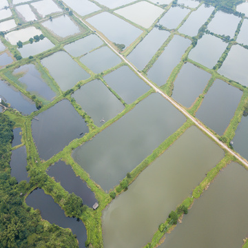 aquaculture