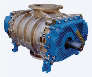 RBS Positive Displacement Blower  Special Coating Version