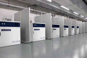 Robox Lobe Positive Displacement Blower Package 