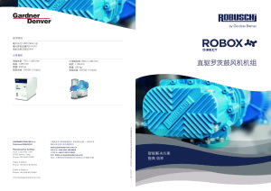 flyer-robox-direct-s47-1x19-d_cn