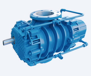 RBS Positive Displacement Blower  Cooled Version